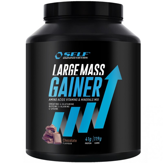 Self Omninutrition Large Mass Gainer - 2 Kg